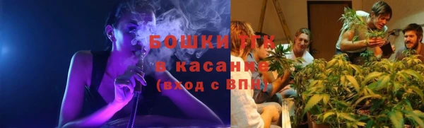 мдпв Богородск