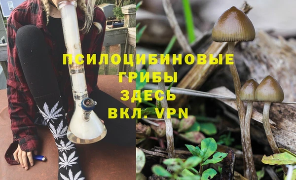 мдпв Богородск