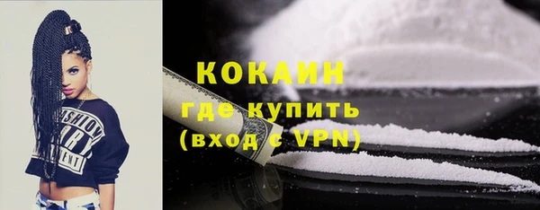 мдпв Богородск