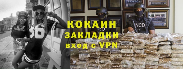 мдпв Богородск