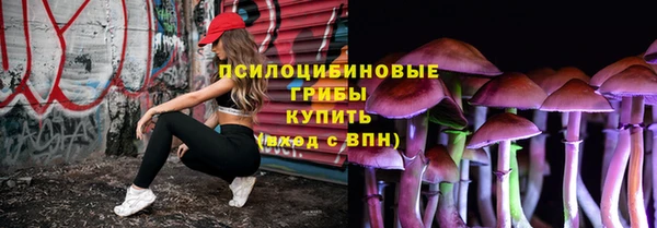 мдпв Богородск
