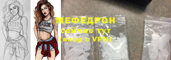 мдпв Богородск