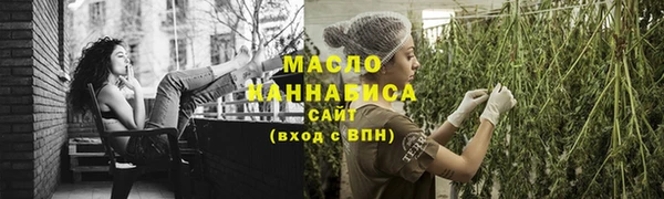 мдпв Богородск