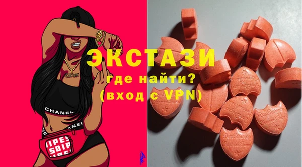 мдпв Богородск