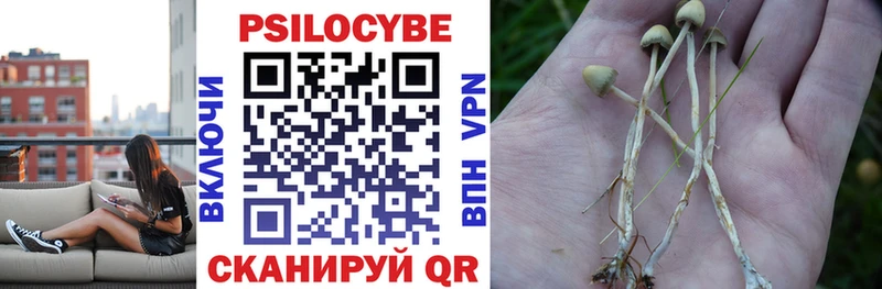 Псилоцибиновые грибы GOLDEN TEACHER  где найти наркотики  Константиновск 